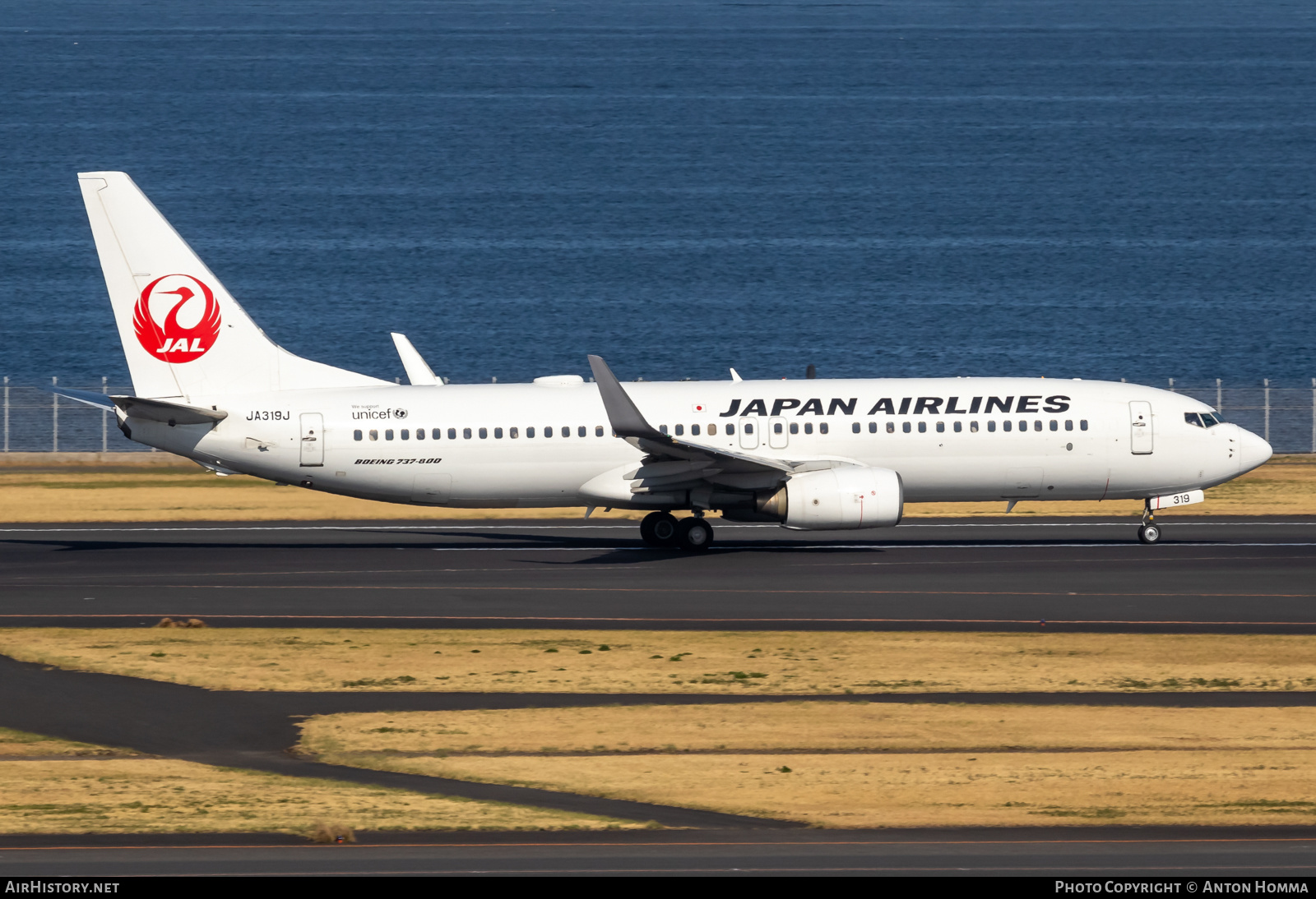 Aircraft Photo of JA319J | Boeing 737-846 | Japan Airlines - JAL | AirHistory.net #558274