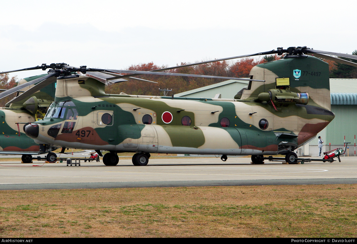 Aircraft Photo of 77-4497 | Boeing CH-47J Chinook (414) | Japan - Air Force | AirHistory.net #558290