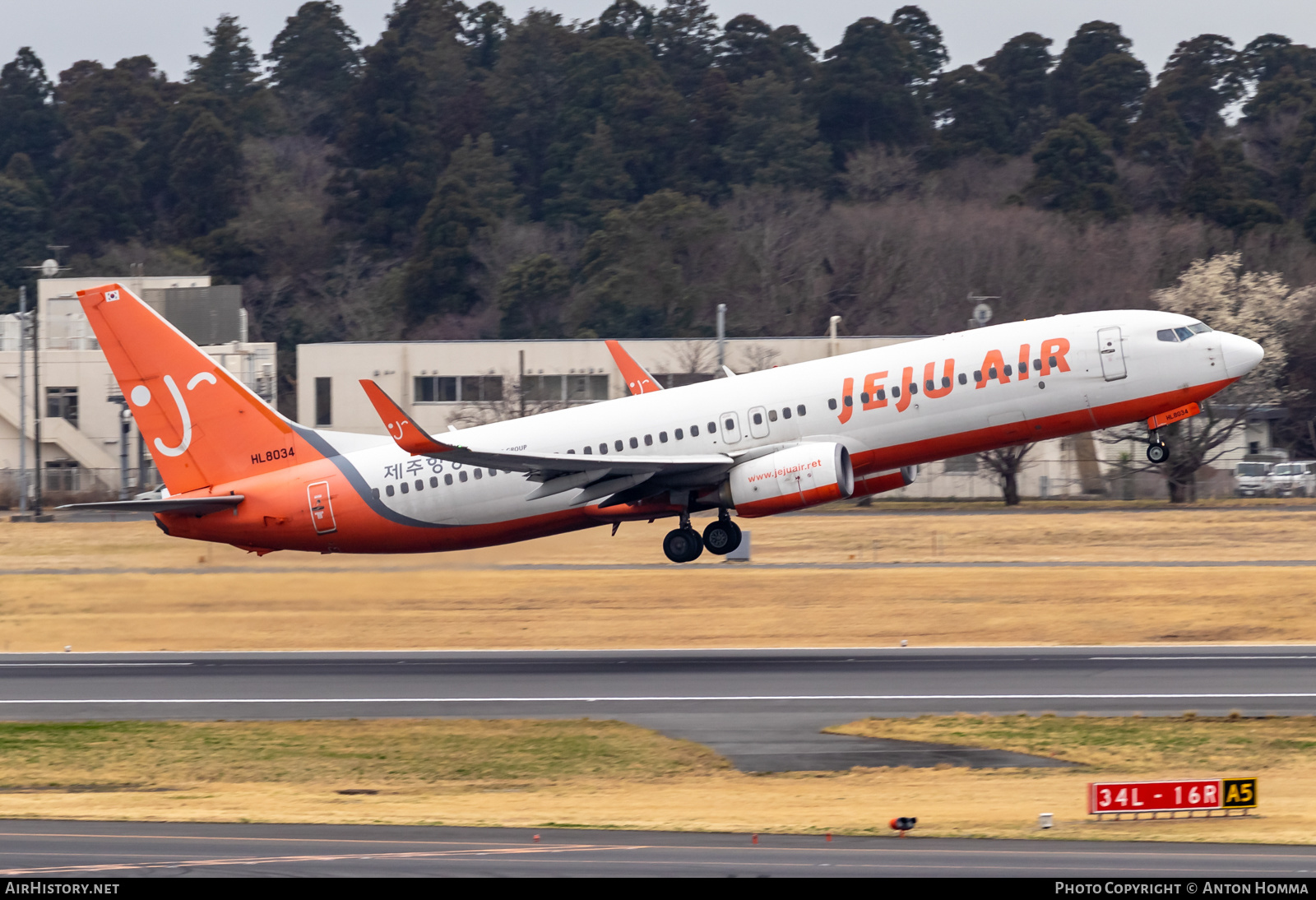 Aircraft Photo of HL8034 | Boeing 737-8HX | Jeju Air | AirHistory.net #558605