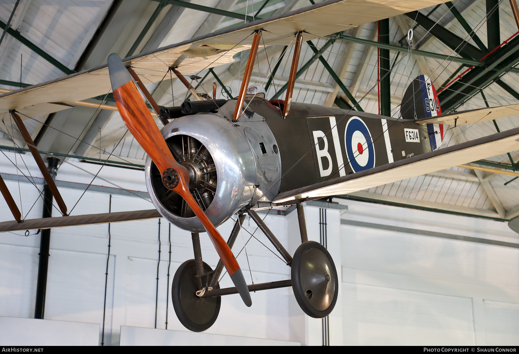 Aircraft Photo of F6314 | Sopwith F-1 Camel | UK - Air Force | AirHistory.net #559653