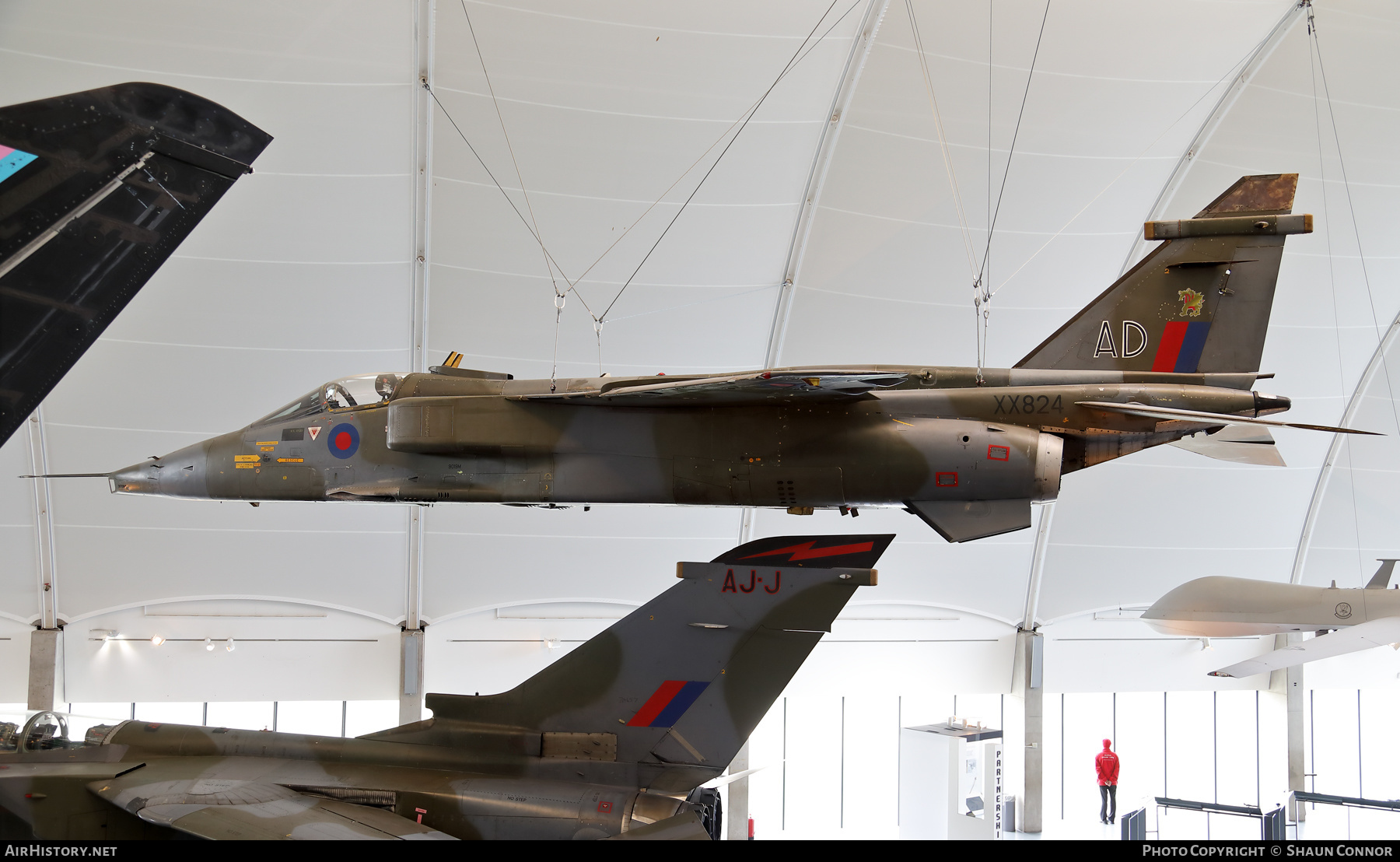 Aircraft Photo of XX824 | Sepecat Jaguar GR1A | UK - Air Force | AirHistory.net #559661