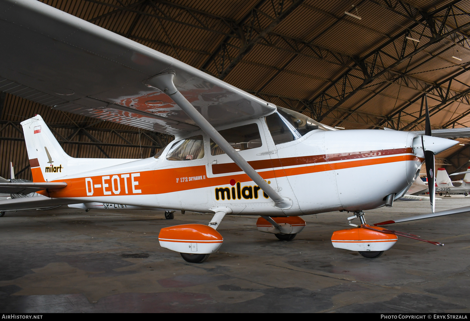 Aircraft Photo of D-EOTE | Reims F172N Skyhawk 100 II | Milart | AirHistory.net #560250