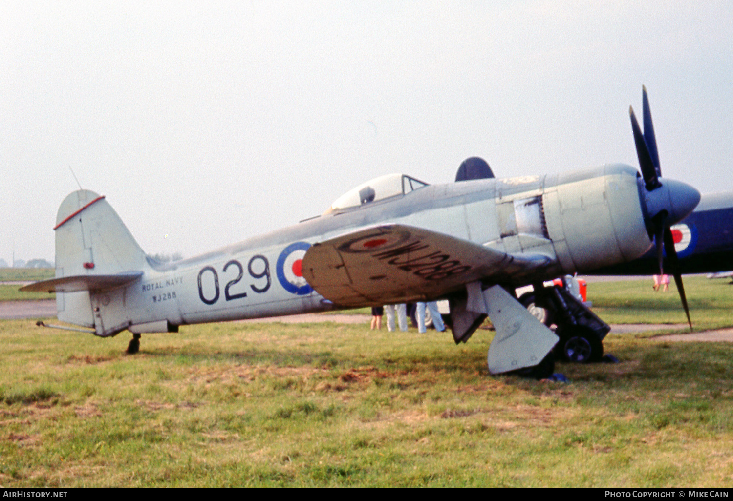 Aircraft Photo of WJ288 | Hawker Sea Fury FB11 | UK - Navy | AirHistory.net #560706