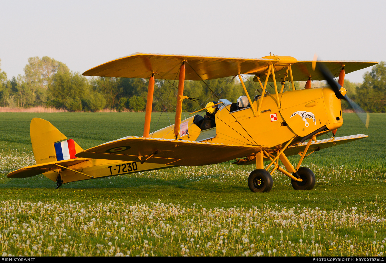 Aircraft Photo of SP-YAA / T-7230 | De Havilland D.H. 82A Tiger Moth II | UK - Air Force | AirHistory.net #562093