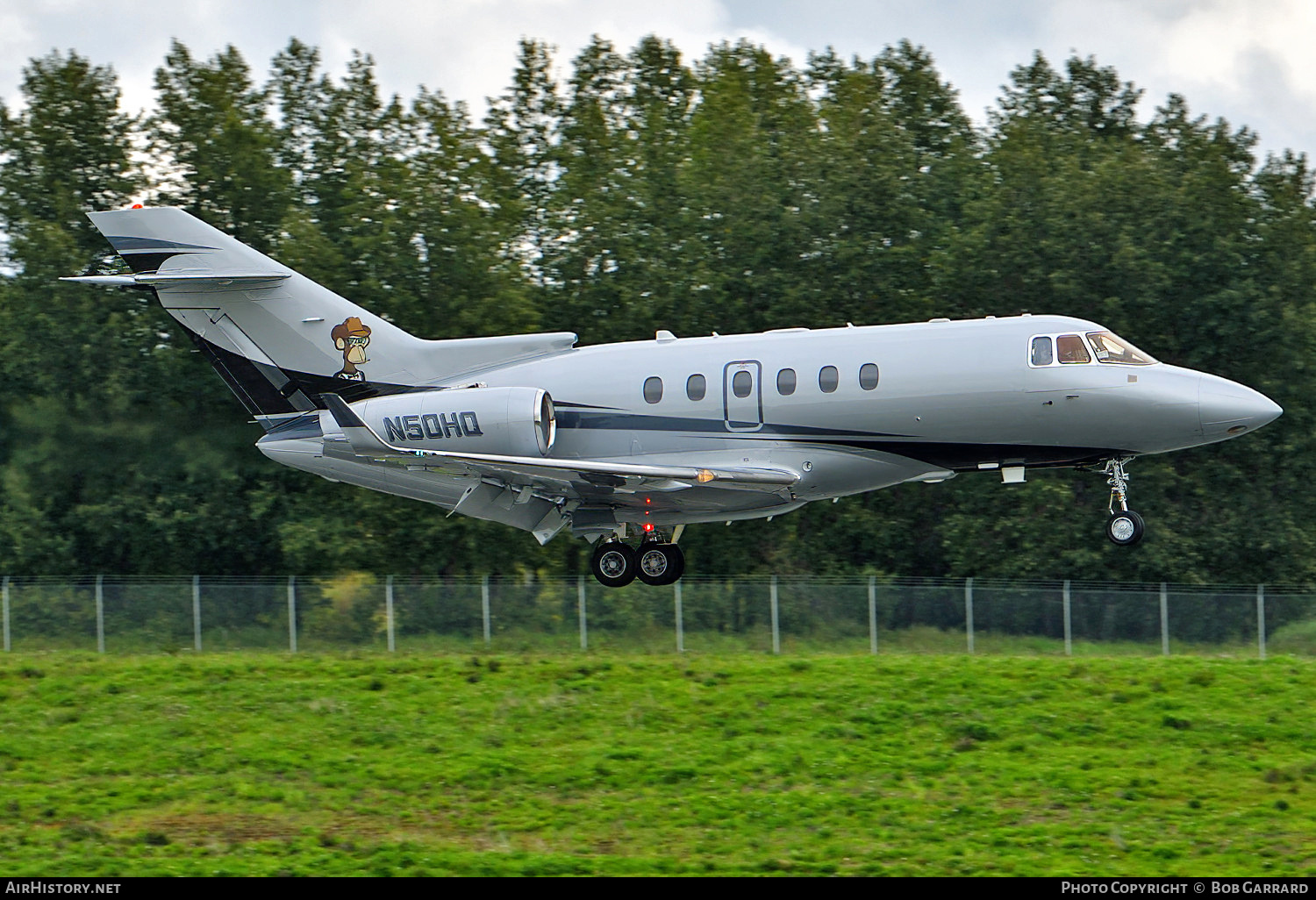 Aircraft Photo of N50HQ | Raytheon Hawker 850XP | AirHistory.net #562832