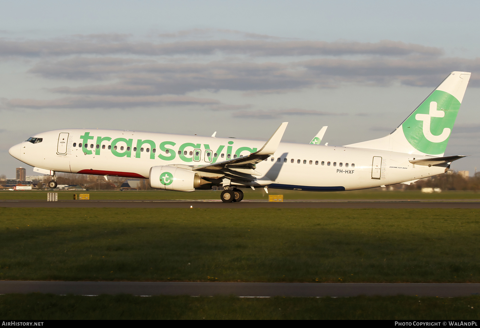 Aircraft Photo of PH-HXF | Boeing 737-800 | Transavia | AirHistory.net #563445