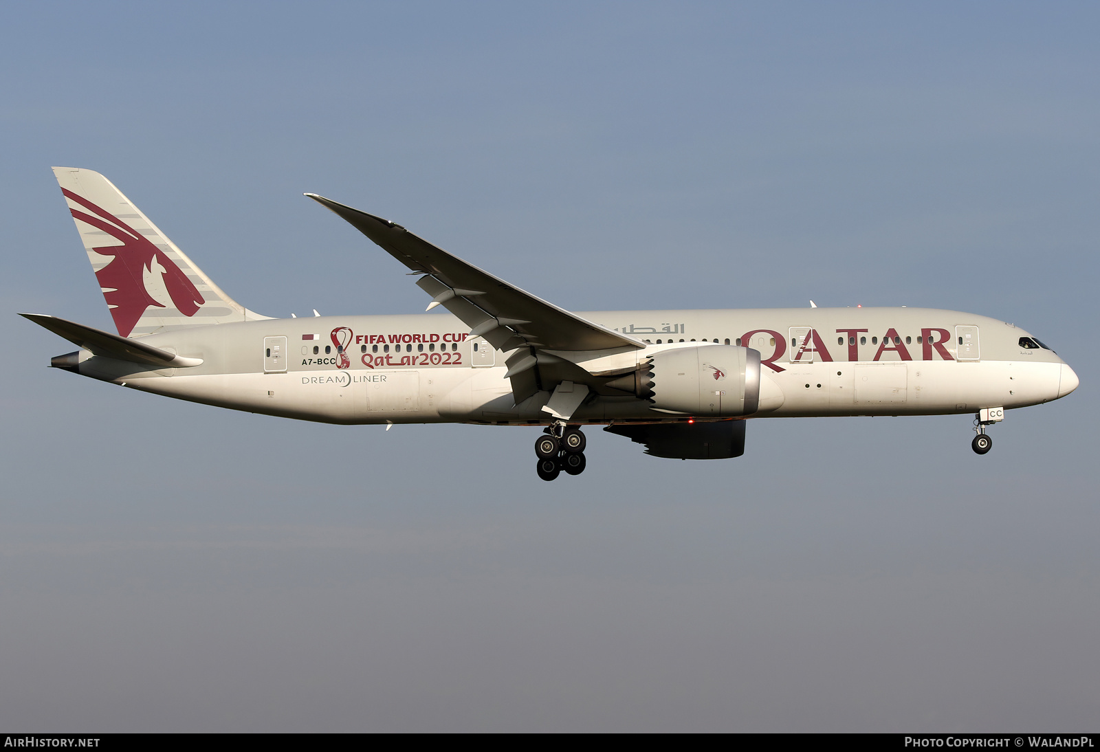 Aircraft Photo of A7-BCC | Boeing 787-8 Dreamliner | Qatar Airways | AirHistory.net #563483