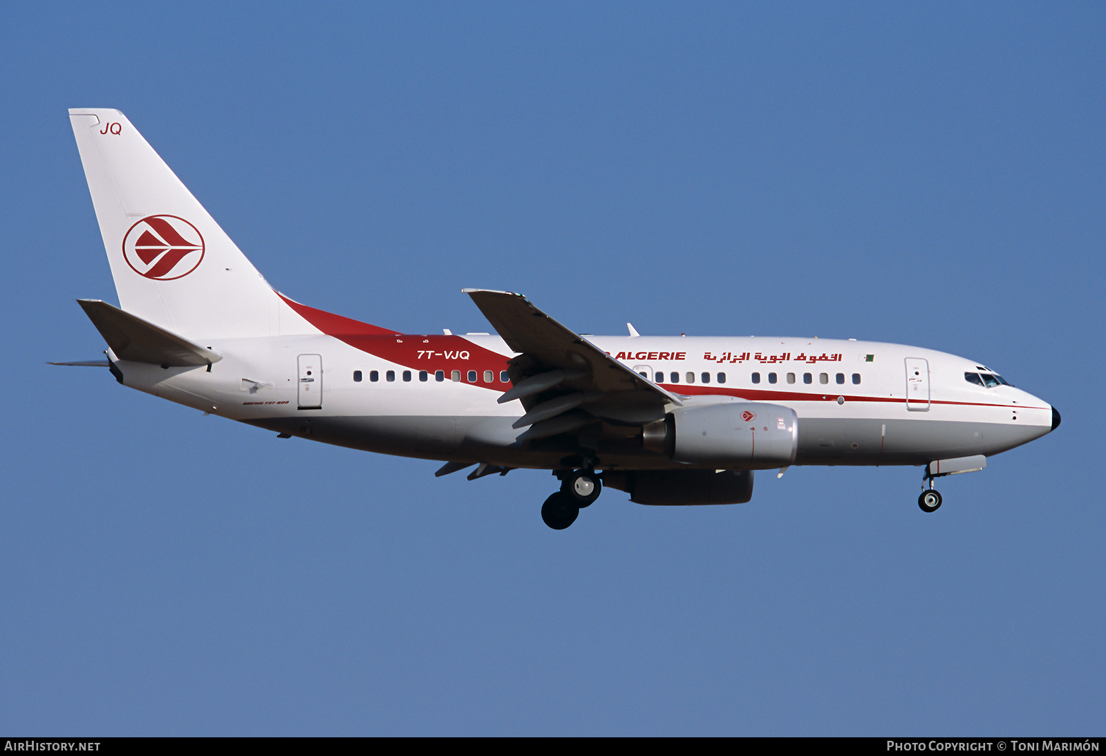 Aircraft Photo of 7T-VJQ | Boeing 737-6D6 | Air Algérie | AirHistory.net #564126