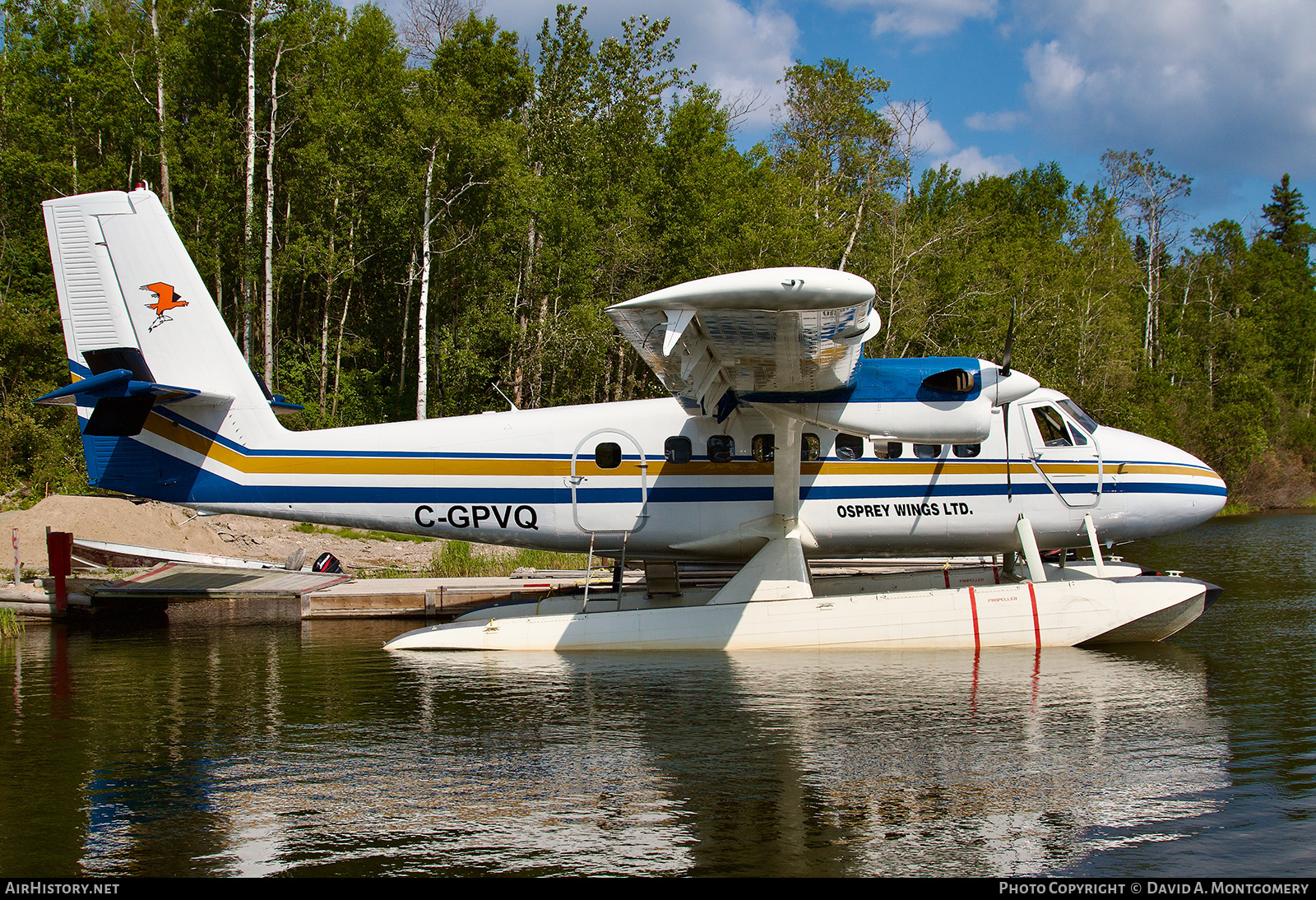 Aircraft Photo of C-GPVQ | De Havilland Canada DHC-6-100 Twin Otter | Osprey Wings | AirHistory.net #564555