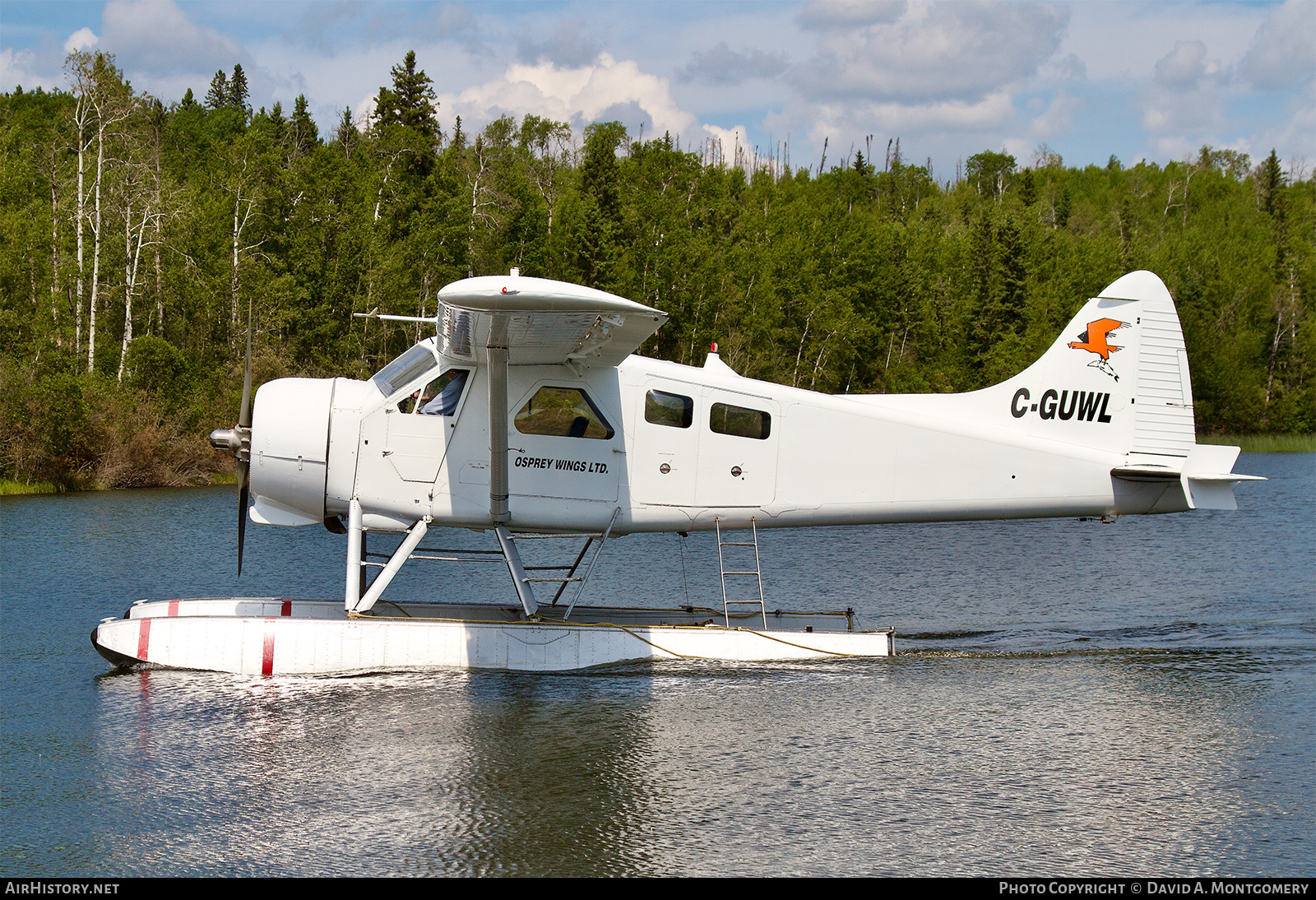 Aircraft Photo of C-GUWL | De Havilland Canada DHC-2 Beaver Mk1 | Osprey Wings | AirHistory.net #564557