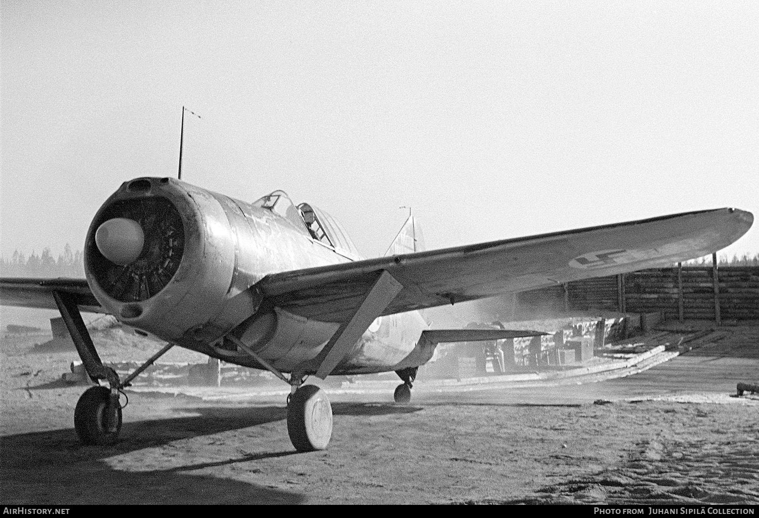 Aircraft Photo of BW-364 | Brewster B-239 Buffalo | Finland - Air Force | AirHistory.net #564874