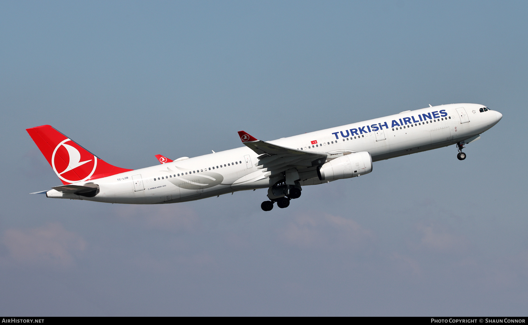 Aircraft Photo of TC-LOB | Airbus A330-343E | Turkish Airlines | AirHistory.net #565821