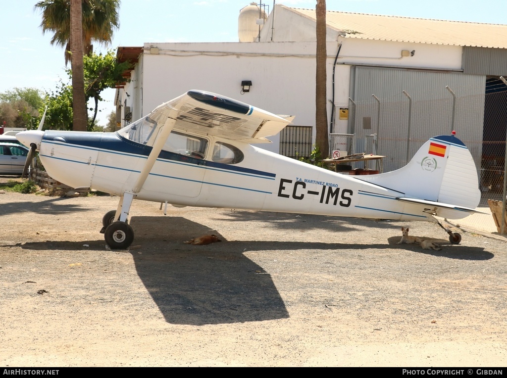 Aircraft Photo of EC-IMS | Cessna 170A | Martínez Ridao Aviación | AirHistory.net #566794