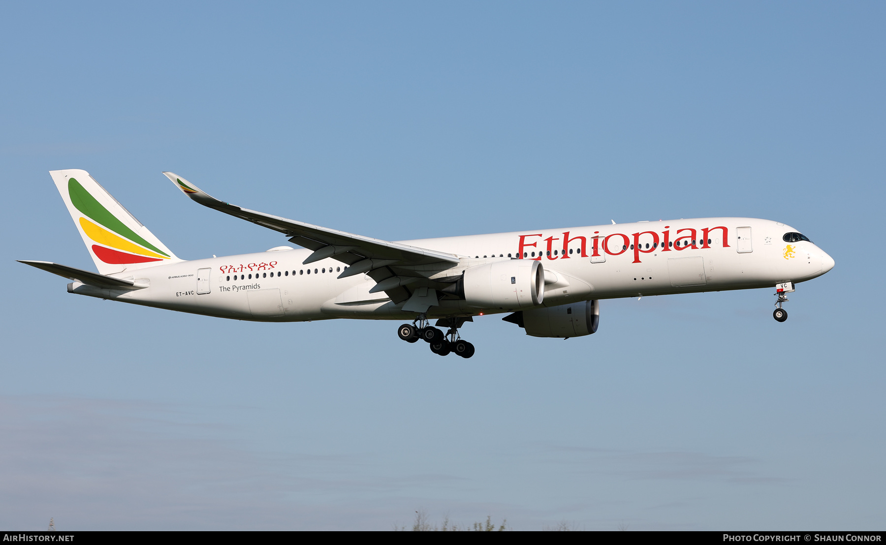 Aircraft Photo of ET-AVC | Airbus A350-941 | Ethiopian Airlines | AirHistory.net #566861