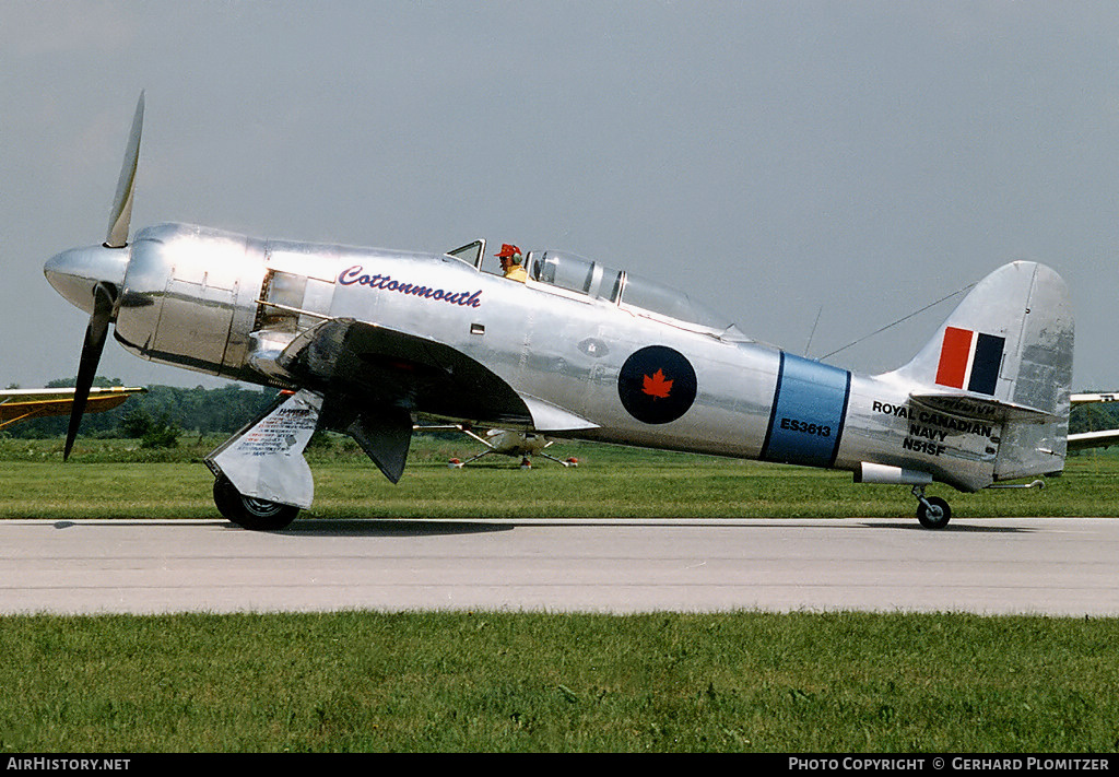 Aircraft Photo of N51SF | Hawker Sea Fury T20 | AirHistory.net #567020