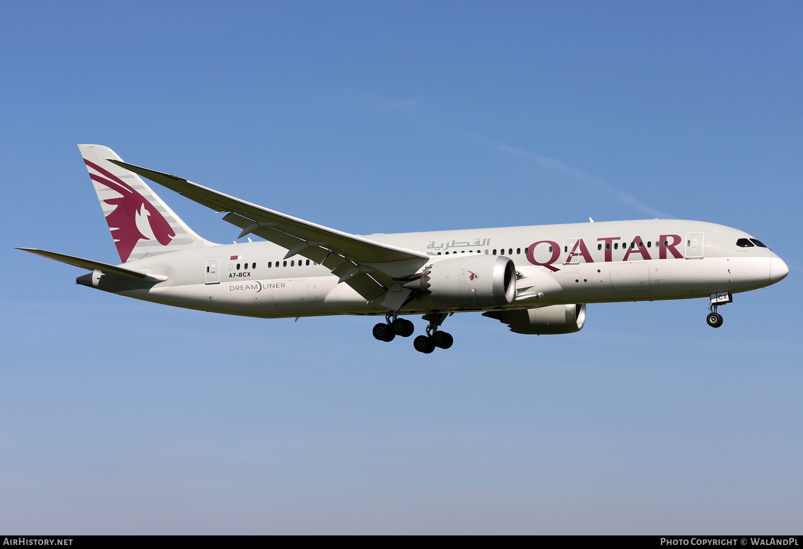 Aircraft Photo of A7-BCX | Boeing 787-8 Dreamliner | Qatar Airways | AirHistory.net #569743