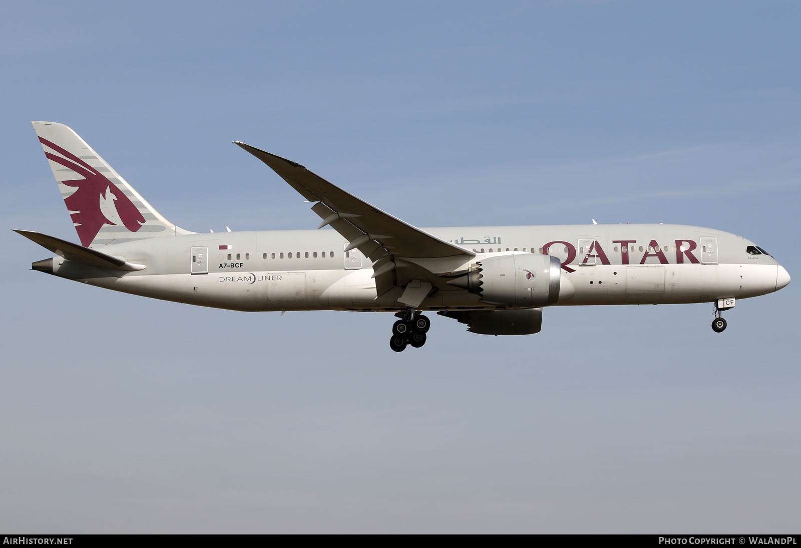 Aircraft Photo of A7-BCF | Boeing 787-8 Dreamliner | Qatar Airways | AirHistory.net #570069