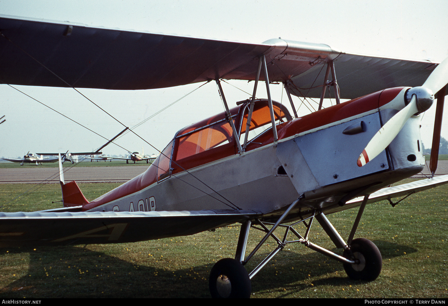 Aircraft Photo of G-AOIR | Thruxton Jackaroo | AirHistory.net #570291