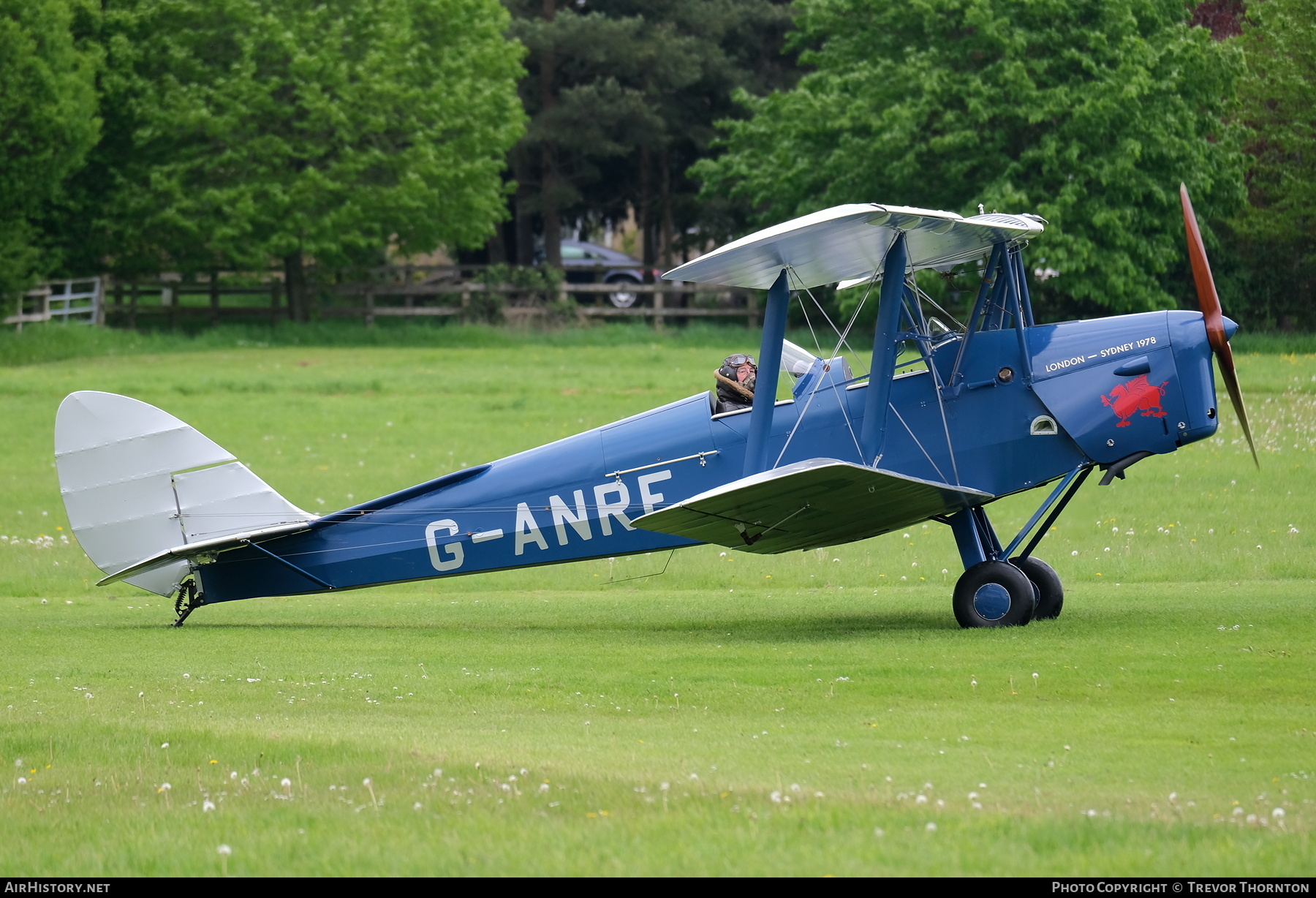 Aircraft Photo of G-ANRF | De Havilland D.H. 82A Tiger Moth II | AirHistory.net #570351