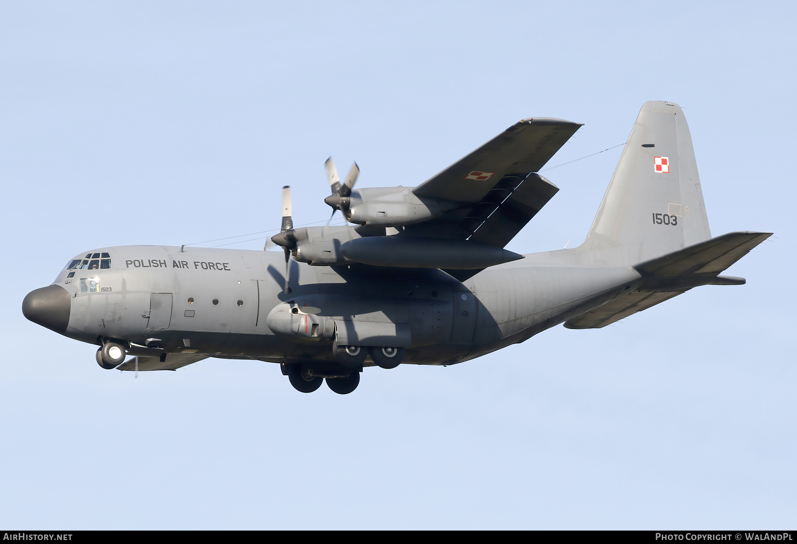 Aircraft Photo of 1503 | Lockheed C-130E Hercules (L-382) | Poland - Air Force | AirHistory.net #571271