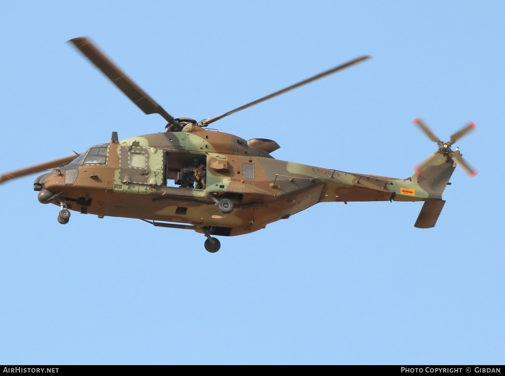 Aircraft Photo of HT.29-03 | NHI NH90 TTH | Spain - Army | AirHistory.net #572083