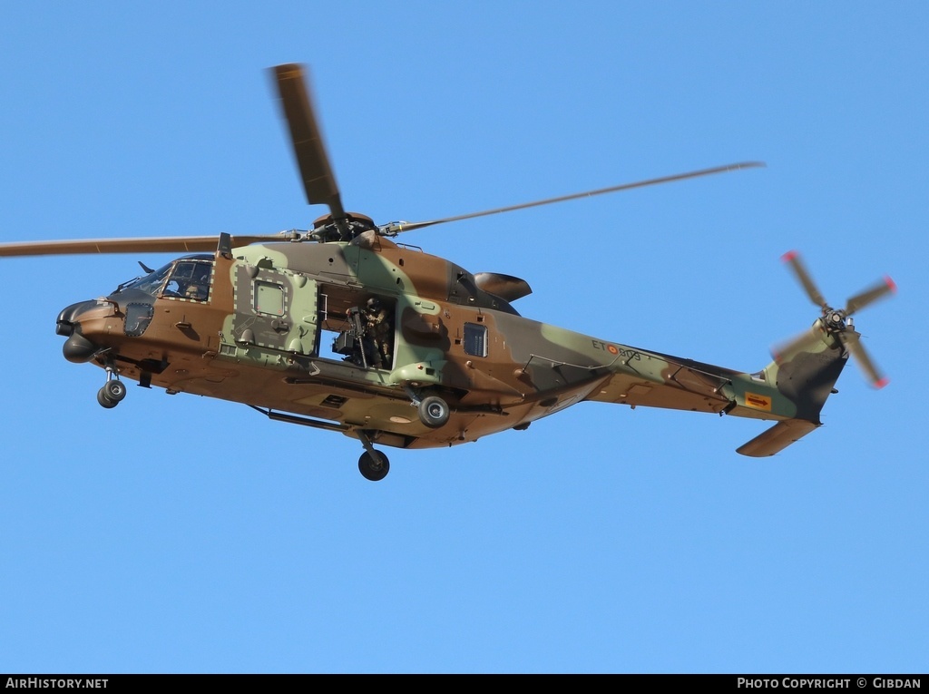 Aircraft Photo of HT29-09 | NHI NH90 TTH | Spain - Army | AirHistory.net #572095