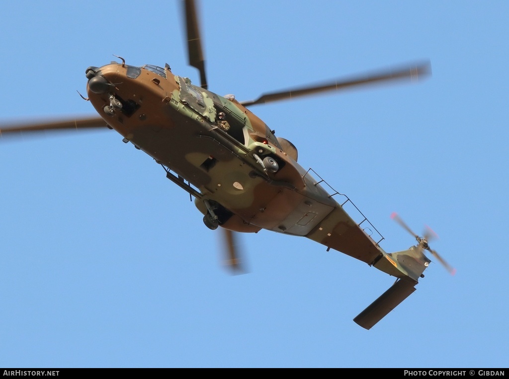 Aircraft Photo of HT.29-06 | NHI NH90 TTH | Spain - Army | AirHistory.net #572181