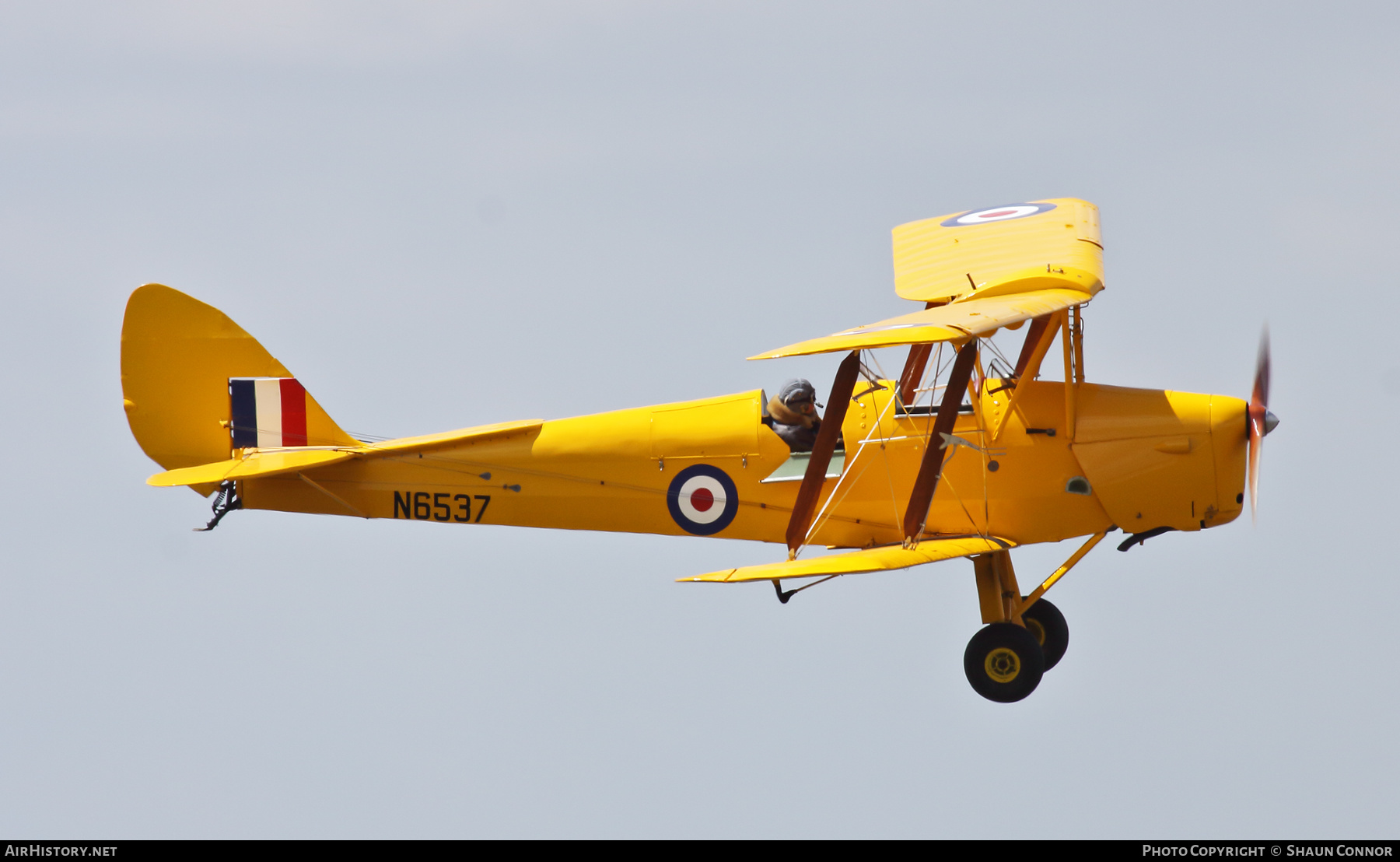 Aircraft Photo of G-AOHY / N6537 | De Havilland D.H. 82A Tiger Moth | UK - Air Force | AirHistory.net #572312