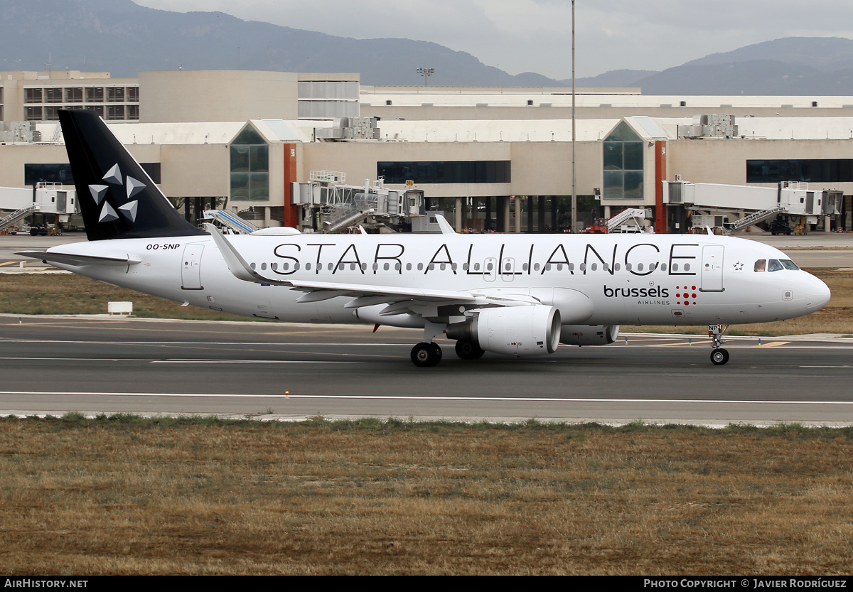 Aircraft Photo of OO-SNP | Airbus A320-214 | Brussels Airlines | AirHistory.net #572367