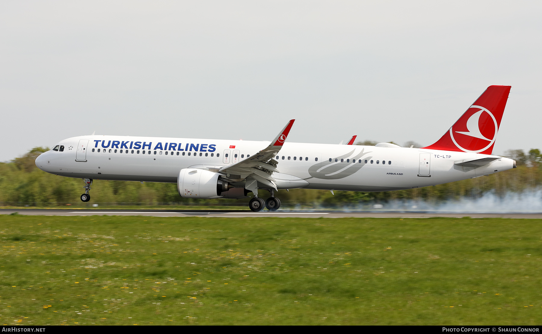 Aircraft Photo of TC-LTP | Airbus A321-271NX | Turkish Airlines | AirHistory.net #572702