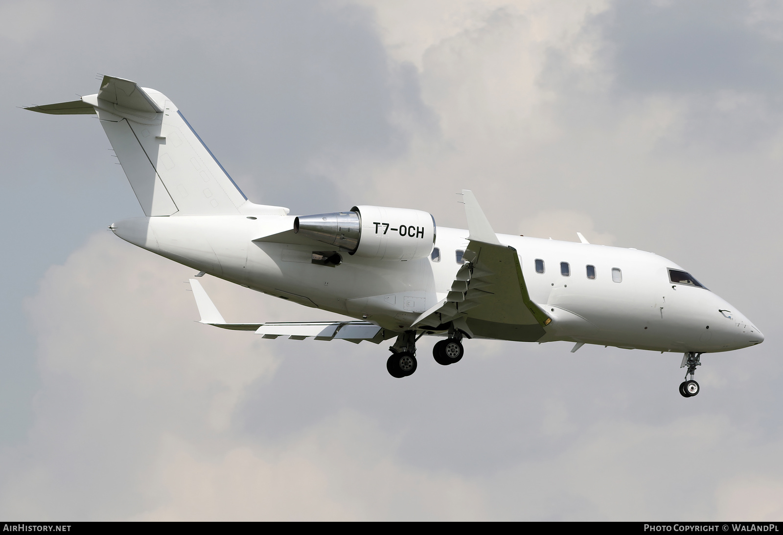 Aircraft Photo of T7-OCH | Bombardier Challenger 605 (CL-600-2B16) | AirHistory.net #573047