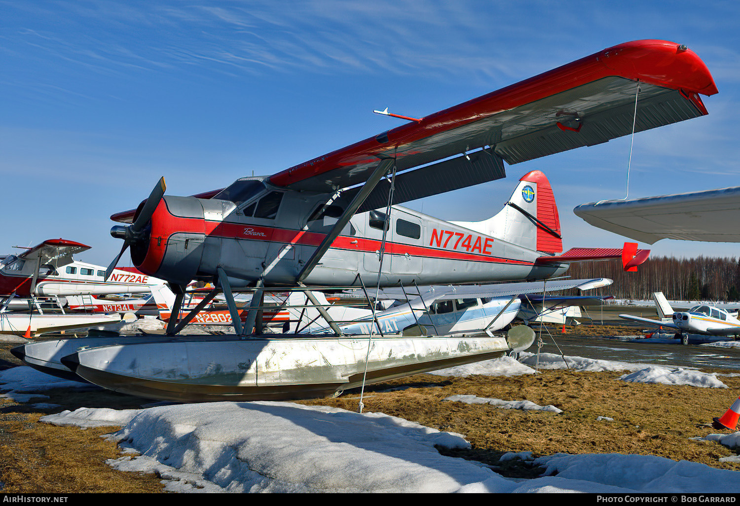 Aircraft Photo of N774AE | De Havilland Canada DHC-2 Beaver Mk1 | AirHistory.net #573163