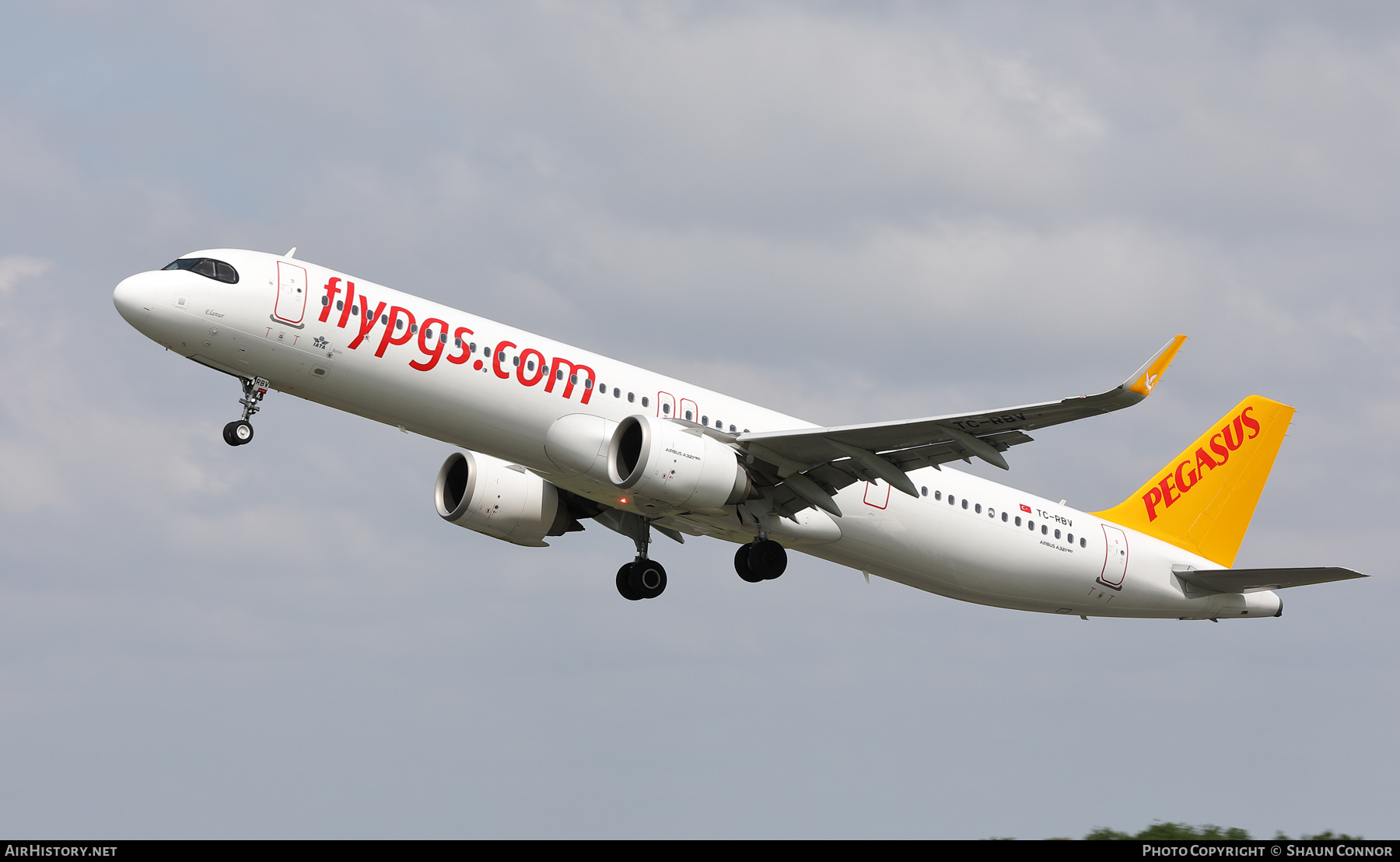 Aircraft Photo of TC-RBV | Airbus A321-251NX | Pegasus Airlines | AirHistory.net #573890