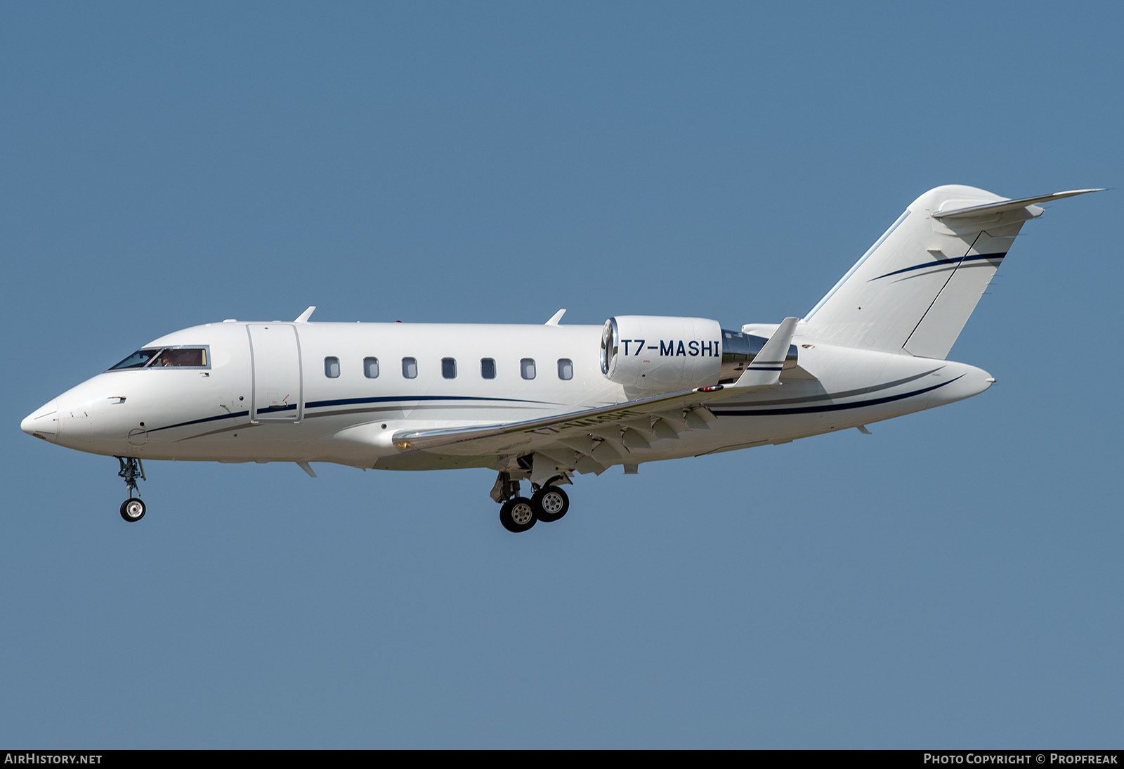 Aircraft Photo of T7-MASHI | Bombardier Challenger 650 (CL-600-2B16) | AirHistory.net #574719
