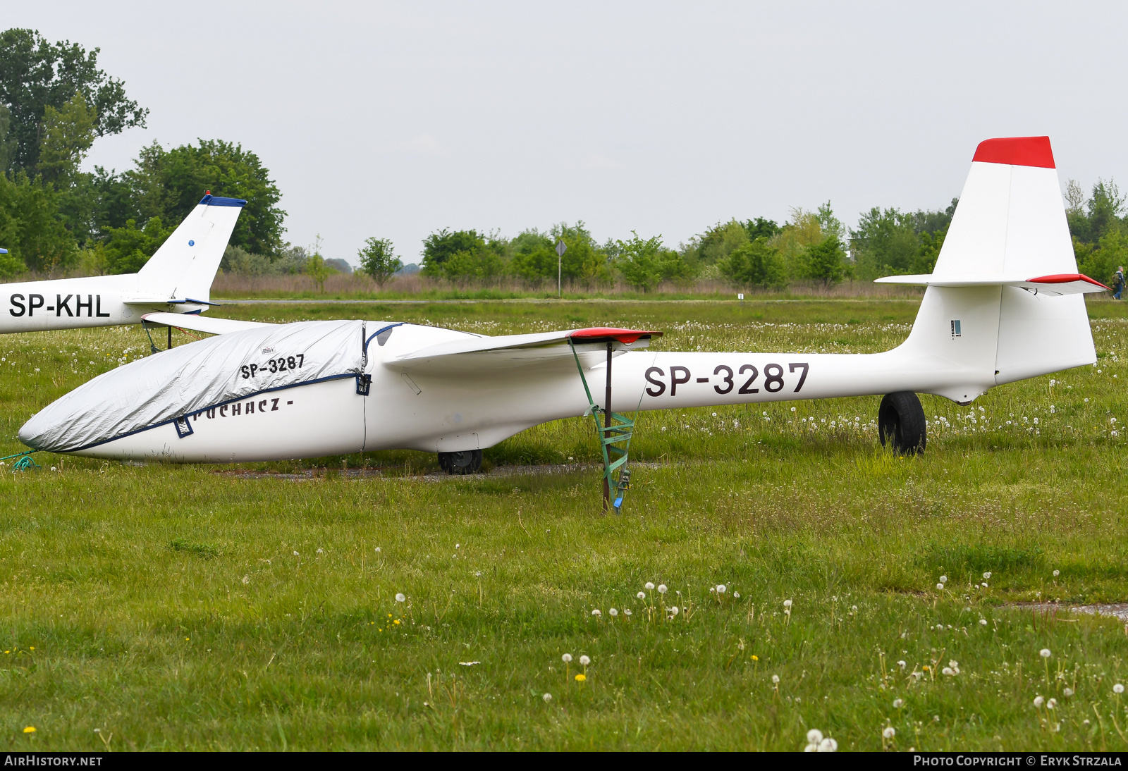 Aircraft Photo of SP-3287 | PZL-Bielsko SZD-50-3 Puchacz | AirHistory.net #574961