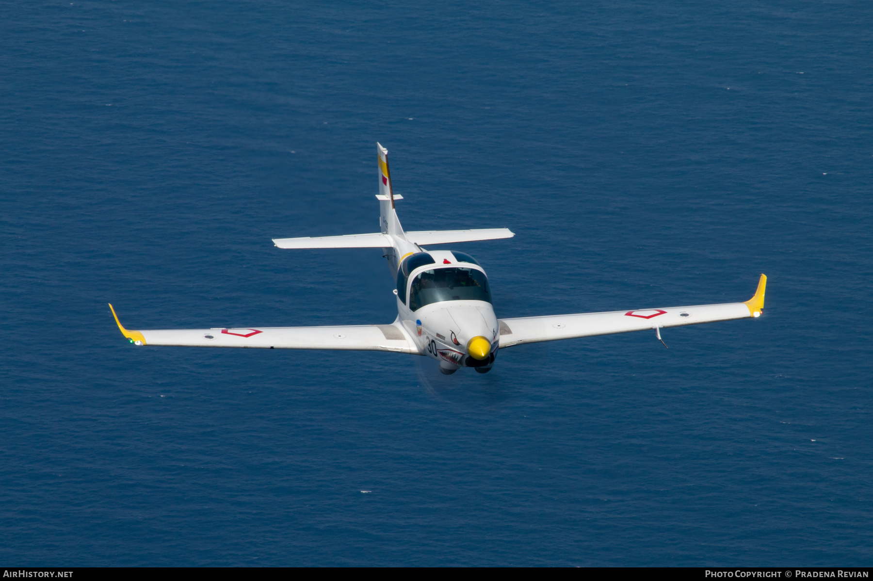 Aircraft Photo of LD-1230 | Grob G-120TP-A Prefect T1 | Indonesia - Air Force | AirHistory.net #575513