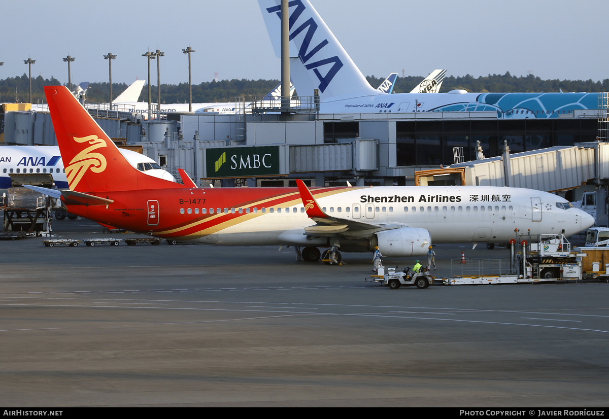 Aircraft Photo of B-1477 | Boeing 737-800 | Shenzhen Airlines | AirHistory.net #575543