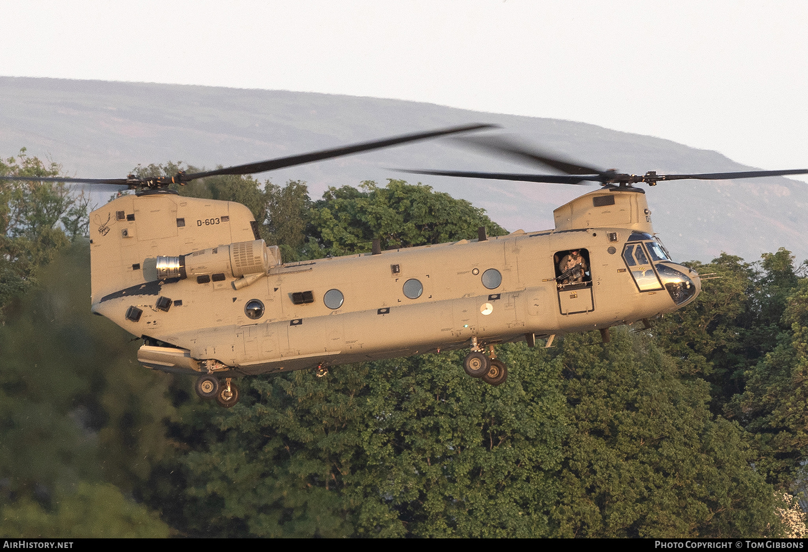 Aircraft Photo of D-603 | Boeing CH-47F Chinook (414) | Netherlands - Air Force | AirHistory.net #575625