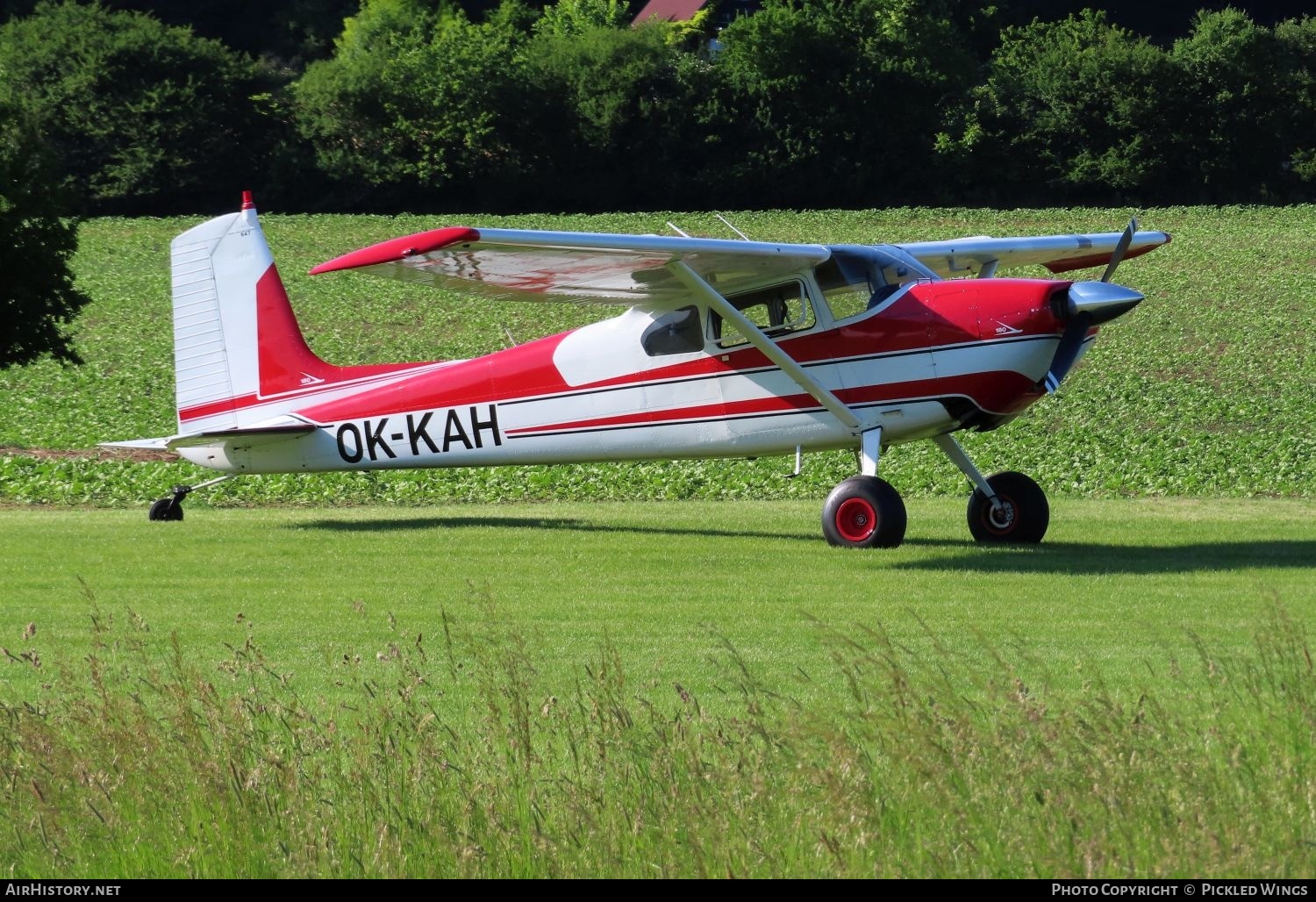Aircraft Photo of OK-KAH | Cessna 180 | AirHistory.net #576066