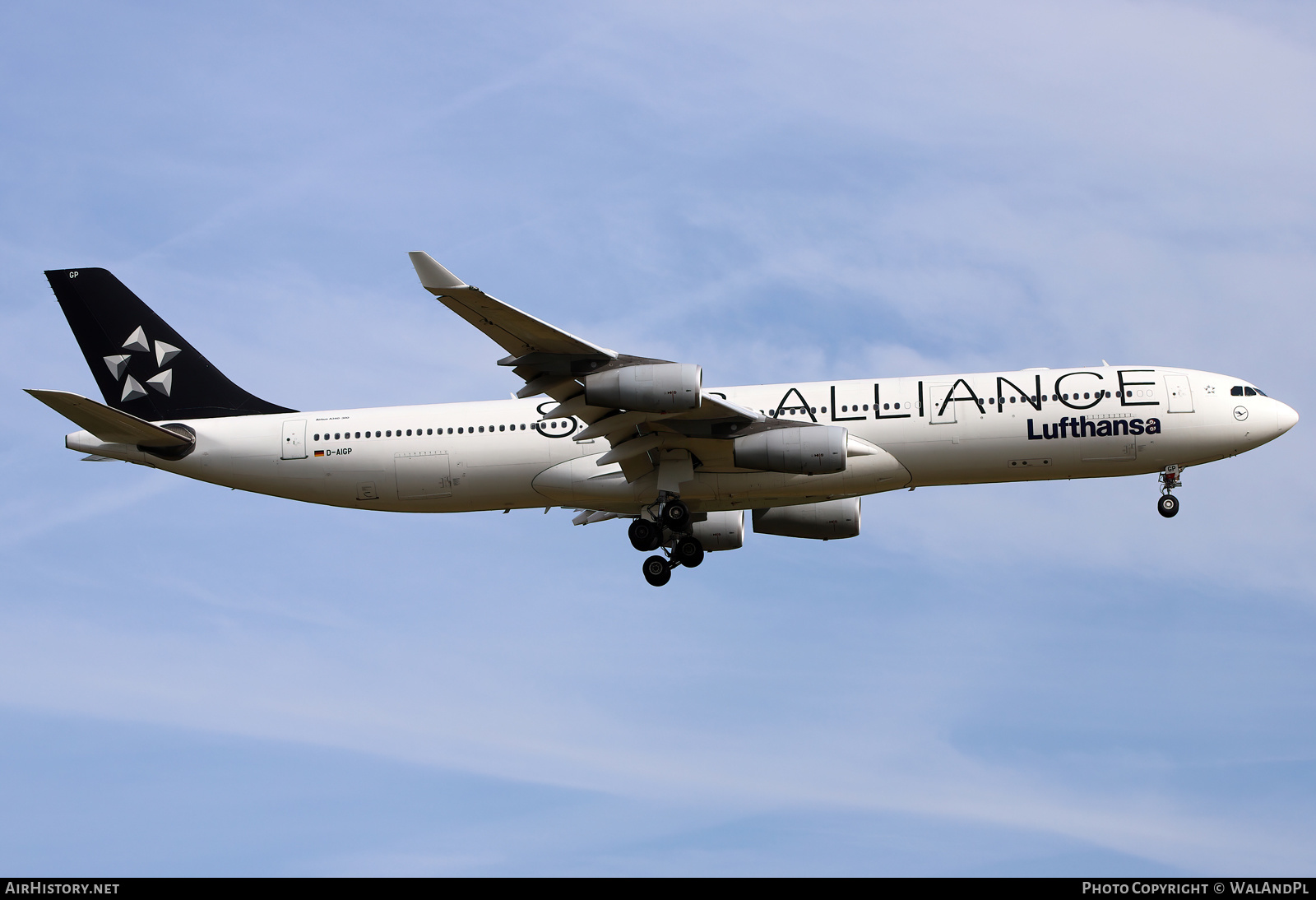 Aircraft Photo of D-AIGP | Airbus A340-313 | Lufthansa | AirHistory.net #576148