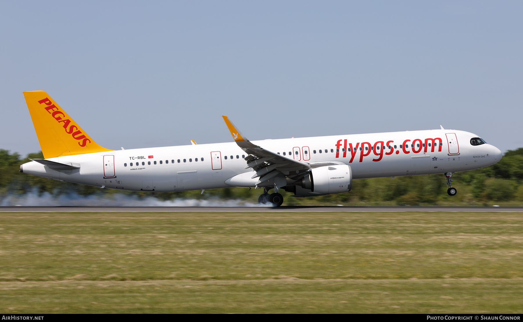 Aircraft Photo of TC-RBL | Airbus A321-251N | Pegasus Airlines | AirHistory.net #576260