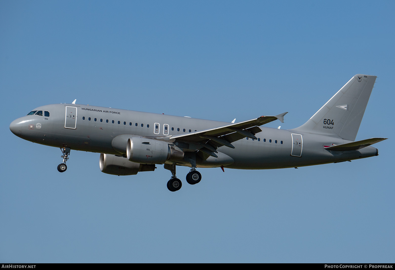 Aircraft Photo of 604 | Airbus A319-112 | Hungary - Air Force | AirHistory.net #576837