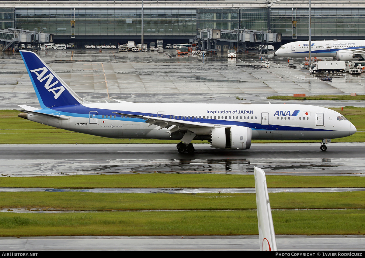 Aircraft Photo of JA825A | Boeing 787-8 Dreamliner | All Nippon Airways - ANA | AirHistory.net #577887