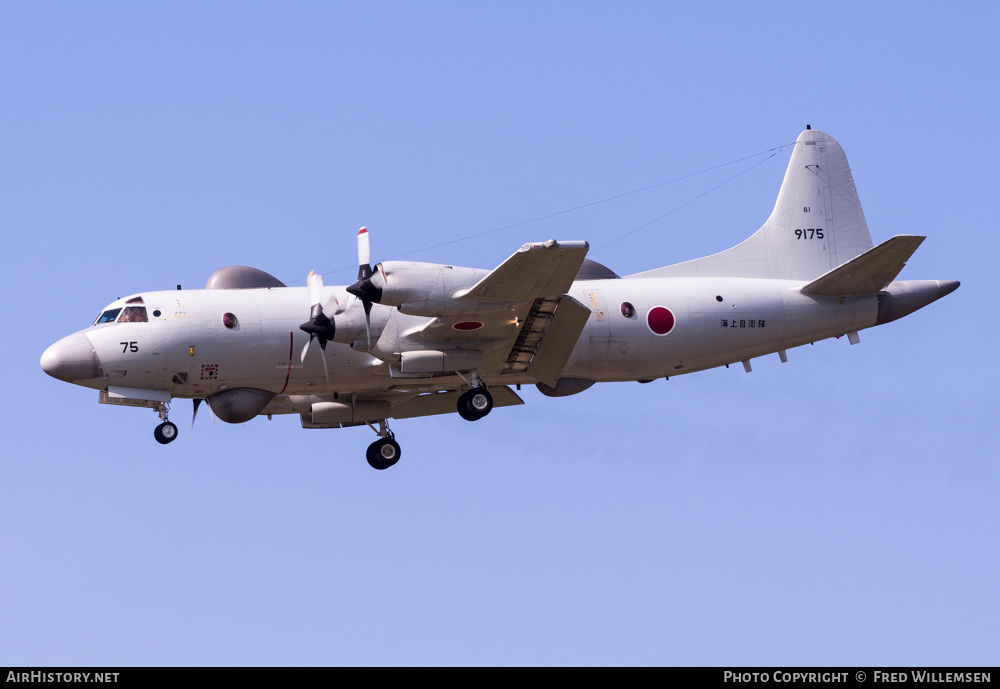 Aircraft Photo of 9175 | Lockheed EP-3 Orion | Japan - Navy | AirHistory.net #578517