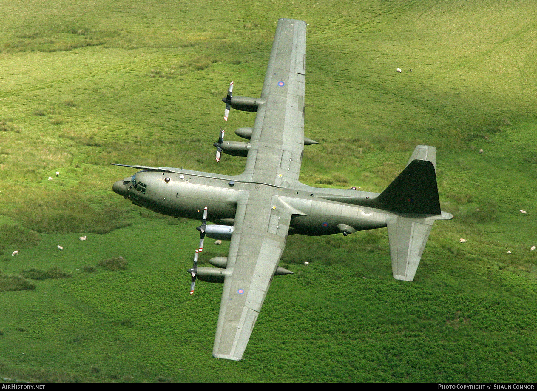 Aircraft Photo of XV205 | Lockheed C-130K Hercules C1 (L-382) | UK - Air Force | AirHistory.net #578807