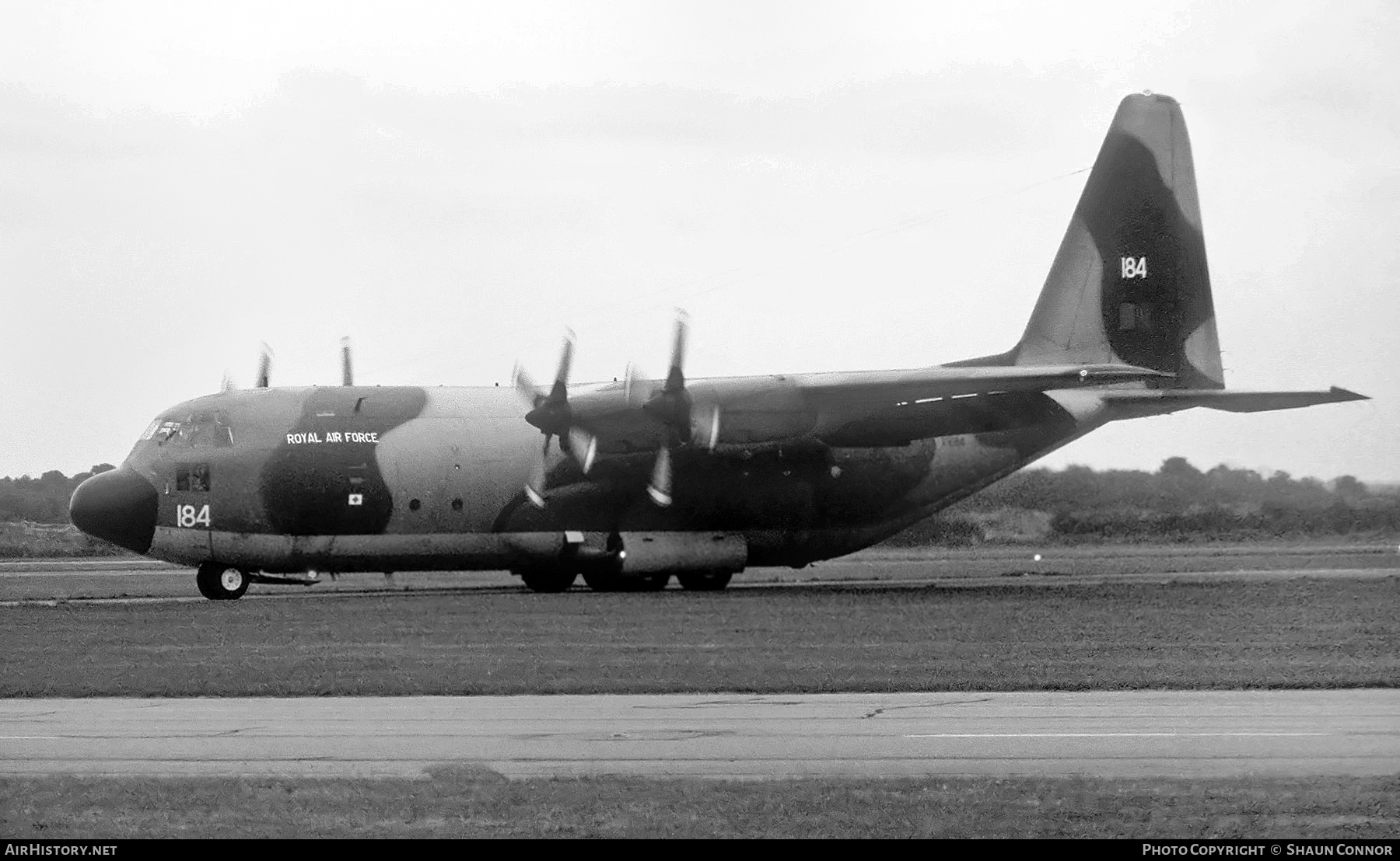 Aircraft Photo of XV184 | Lockheed C-130K Hercules C1 (L-382) | UK - Air Force | AirHistory.net #578854