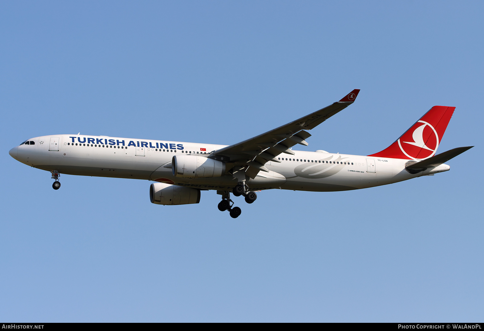 Aircraft Photo of TC-LOA | Airbus A330-343 | Turkish Airlines | AirHistory.net #579662