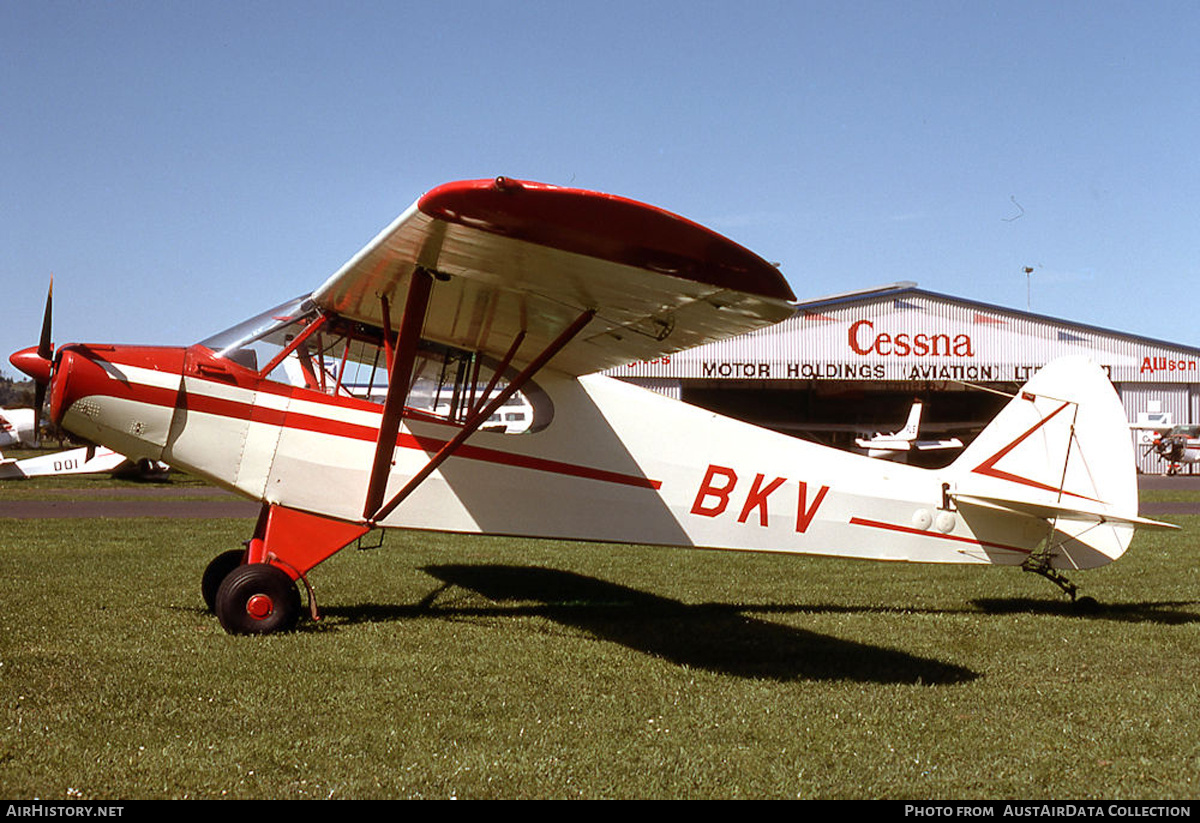 Aircraft Photo of ZK-BKV / BKV | Piper PA-18-95 Super Cub | AirHistory.net #581351