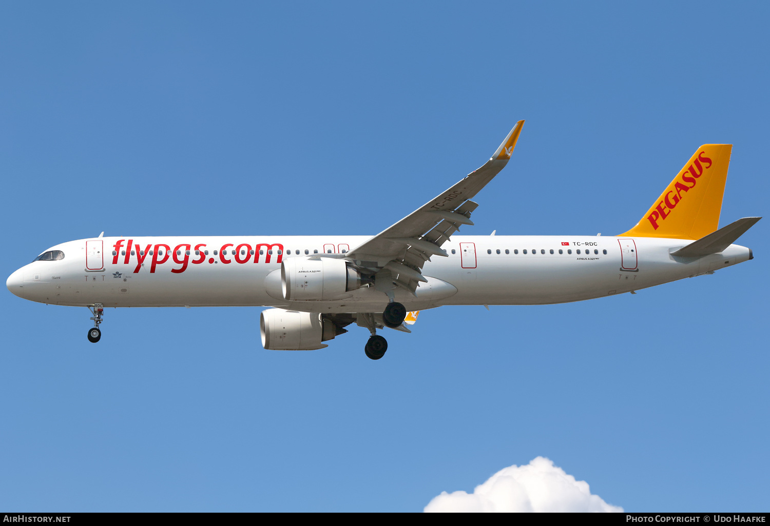 Aircraft Photo of TC-RDC | Airbus A321-251NX | Pegasus Airlines | AirHistory.net #581494