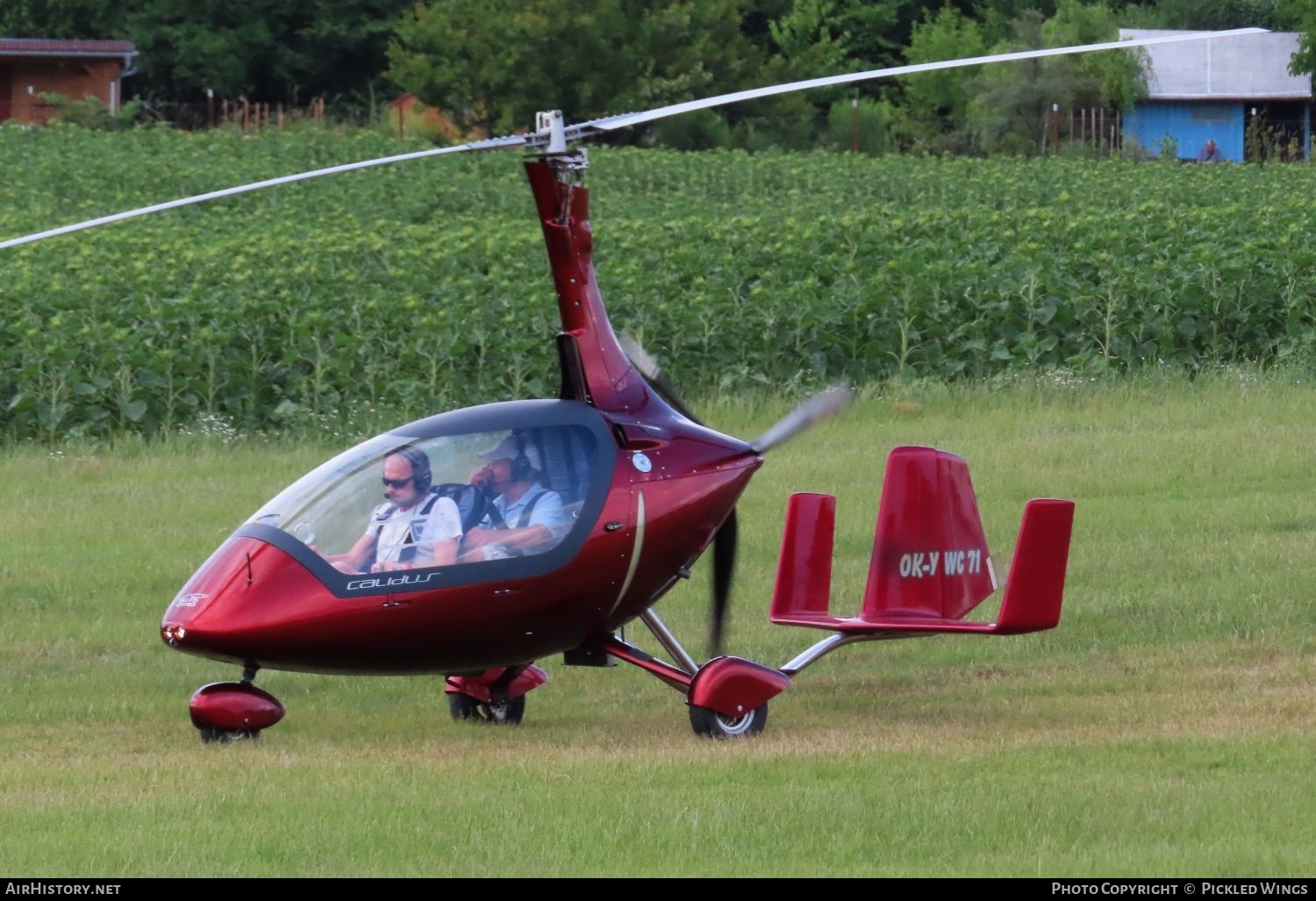 Aircraft Photo of OK-YWC 71 | Autogyro Calidus 912 | AirHistory.net #582870